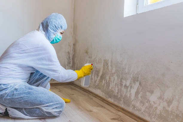 Commercial Mold Remediation assessment for commercial property in Marlborough