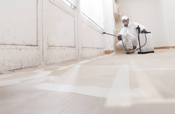 Black mold remediation team in Marlborough